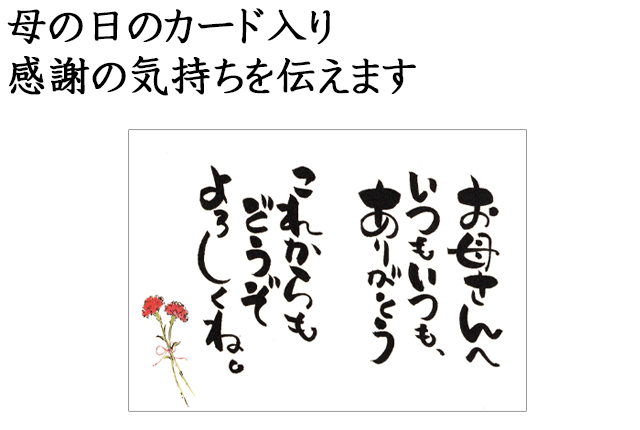 �e��̂�������܂�